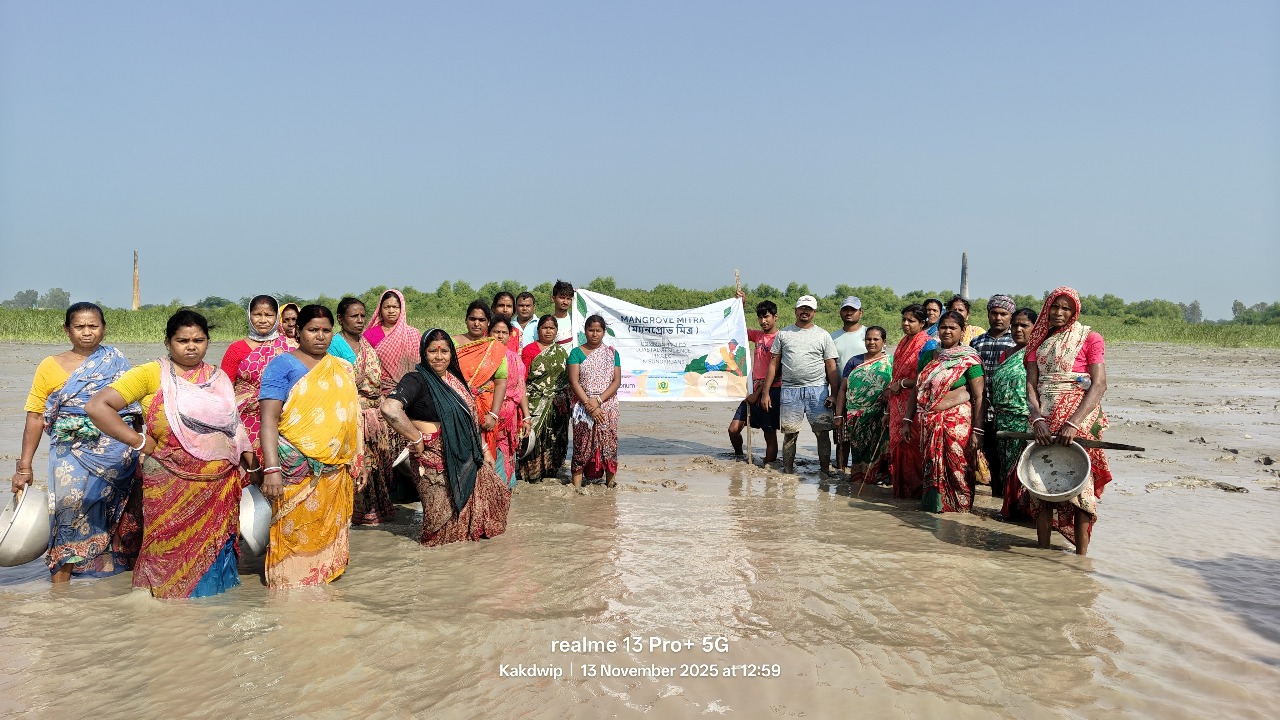 Sundarbans Project I — site photo