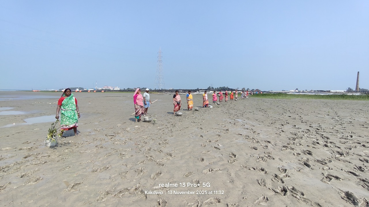 Sundarbans Project II — site photo