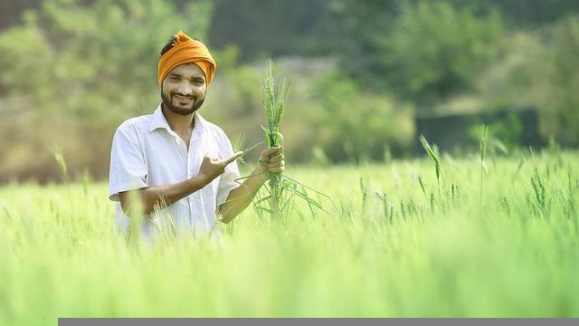 Integrating Biophysical and Socio-economic Determinants into Field-specific Fertiliser Recommendations