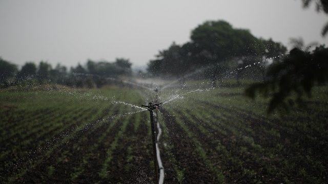 Importance of water management for sustainable agriculture and future