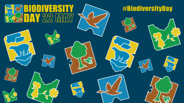 International Day for Biological Diversity 22 May