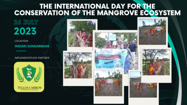 International Day for the Conservation of the Mangrove Ecosystem